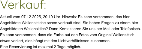 Verkauf:  Aktuell vom 07.12.2025, 20:10 Uhr. Hinweis: Es kann vorkommen, das hier  Abgebildete Wellensittiche schon verkauft sind. Sie haben Fragen zu einem hier  Abgebildeten Wellensittich? Dann Kontaktieren Sie uns per Mail oder Telefonisch.  Es kann vorkommen, dass die Farbe auf den Fotos vom Original Wellensittich  etwas variiert, dies hängt mit den Lichtverhältnissen zusammen.  Eine Reservierung ist maximal 2 Tage möglich.